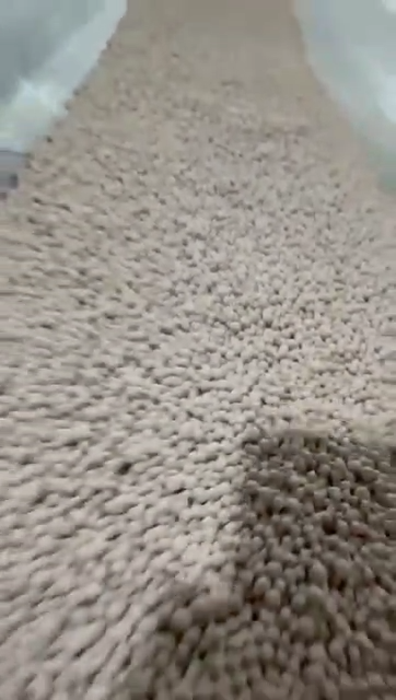 Freshly formed bentonite granules moving along the FELUXE line